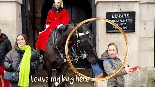 I Won't Let You RUN, Royal kings guards horse.!