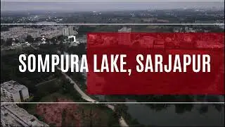 Aerial Drone Footage of Sompura Lake, Sarjapura | Stunning Views of Karnataka's Hidden Gem