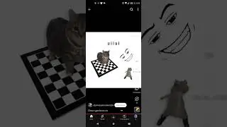 Chess type beat oia cat extendido (xd video robado)