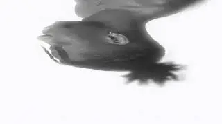 BEST OF ME (MIX) [Underground Plug]