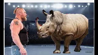 Brock Lesnar vs Rimno - Best WWE Matches of All Time