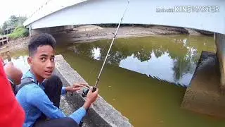GASAK!!! MEMBURU SPESIS BERMISAI SUNGAI TENGLU