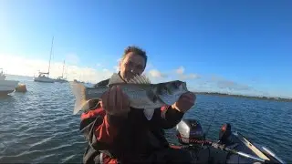 Chichester Harbour Bass fishing on the Honwave t38