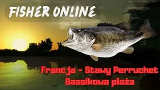 Fisher Online From scratch France Ponds Perruchet - Bassikowo - predatory - gameplay PL