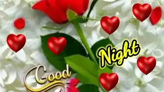 good night unique WhatsApp status #WhatsAppstatus