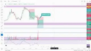 IT Engineer Trader   Crypto Live trading  Stream
