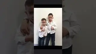 Sebi De La Timisoara - Dedicatie Rendo Pentru dinsatia Niki ( Cover Monica Lupsa  )