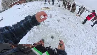 Ловим форель на виб