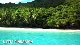 Little Cinnamon, St. John, VI