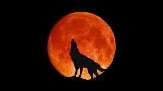 WHAT IS WOLF MOON? | WOLF MOON EXPLAINED | WOLF MOON DETAILS