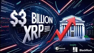 XRP Ripple SEC Klage,3 Milliarden US Dollar XRP,Fed die Zinsen senken,Neobank Bunq,BlackRock