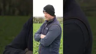 Quinns Oilseed Rape Crop Walk - East Wicklow