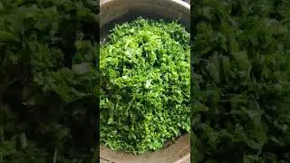 কিভাবে কলই শাক রান্না করা হয় 