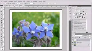 Tutorial - Bordi e cornici con Photoshop