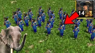 Dutch finally have Musketeers!!!! Aiz shows the power of Dutch's new card 'Blue Guards'