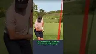 This 'swordsman' unleashes moves with such quality! GOLF #shorts #golf #sports