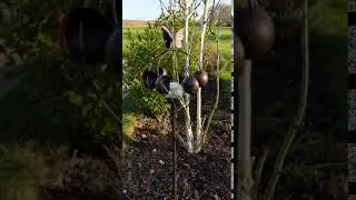 Smart Garden Aura Kinetic Wind Spinner with Solar Crackle Ball (DF15160)