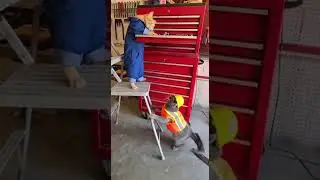 Furry Mechanics: Cats Inspecting the Tool Chest