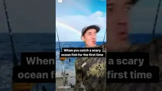 Wolf eels are scary 😅 #fishing #repost