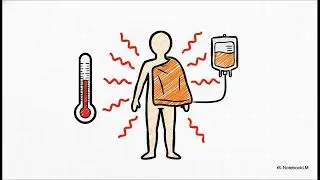 The ULTIMATE Trauma Review: Primary Survey, Pathophysiology & Key Complications for Nurses