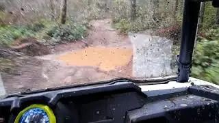 Rzr Sharp