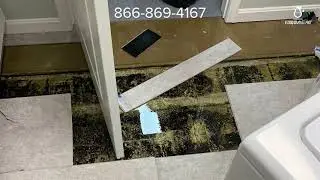 Emergency Water Removal | Flood Damage Pro