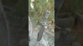 Busse Combat Trough Raider @busseknife #subscribe #shorts #camping #combat #outdoors