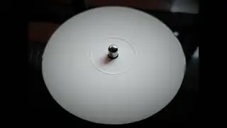 Dubplate Championz - Shmurda Inna Dancehall (2016)