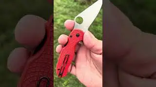 Spyderco Para 3 Lightweight Salt Series with Rit dyed scales #edc #spyderco