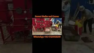 Effortless Peanut Shelling & Cleaning | High-Speed Peanut Processing Machine#peanut