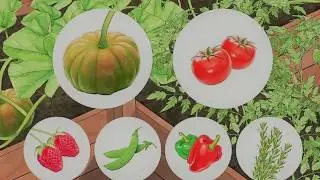 How to Reduce Your Carbon Footprint in the Garden