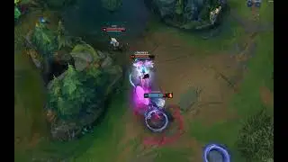 zoe highlight