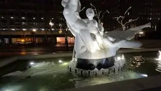The 