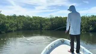 Boca Iglesia Tarpon Fly Fishing 