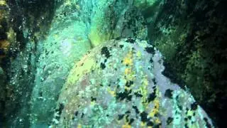Diving Skellig Michael