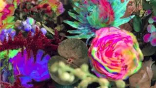 Darkstar - Bed Music - North View
