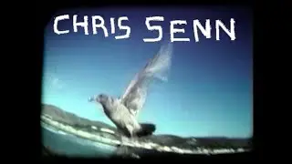 Chris Senn | Toy Machine Skateboards - Jump off a Building | '98