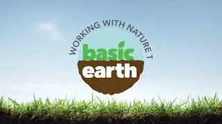 Mustard - Cover Crop Basics