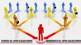 Vertical specialization/Horizontal specialization/Difference