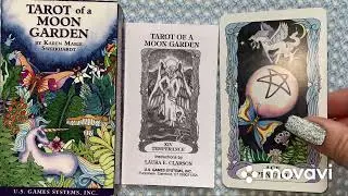 ASMR/АСМР Обзор колоды Таро taro of Moon Garden by Karen Marie Sweikhardt Таро Лунный сад Рифл Шафл