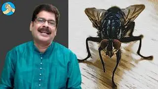 జ్వరమా? టైఫాయిడ్ కావచ్చు. సులభ చికిత్సకోసం ఈ వీడియో చూడండి. Ayurvedic Treatment for Typhoid