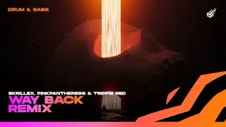 Skrillex & Pinkpantheress & Trippie Redd - Way Back (Astedroid Remix)