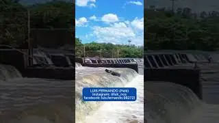 Piracema impressiona no rio Mogi-Gua&ccedil;u&nbsp;em Cachoeira de Emas