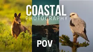 Relaxing Coastal Photography POV | Griffith Island Sunset Walk
