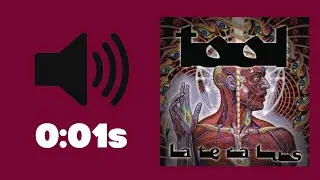 Can You Guess TOOL In 1 Second? (TOOL Music Quiz)