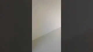 Apartamento tipo F Bisono