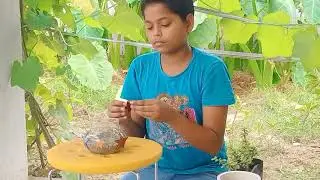 5 June world environment Day ACTIVITY