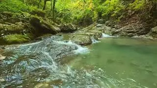 Surah Yaseen (Part 10) | Quran Recitation with Urdu Translation