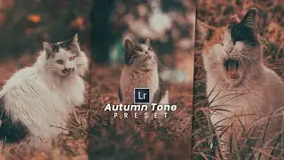 Autumn Tone Lightroom Preset | Lr Presets 2023 | Lightroom Presets | Free Lightroom Presets