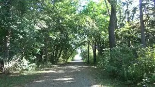 Highlights of a Walk Through Colonel Samuel Smith Park on (October 5th 2025)